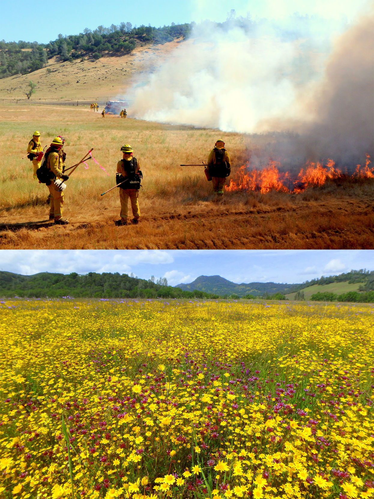 2 Prescribed Burn